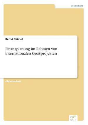 Finanzplanung im Rahmen von internationalen Großprojekten de Bernd Blümel