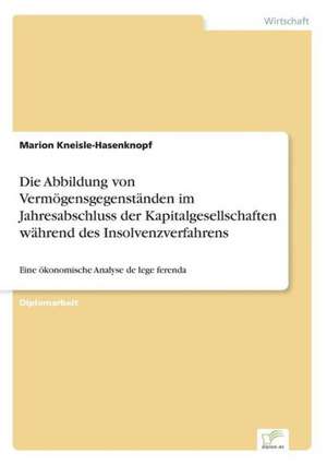 Die Abbildung von Vermögensgegenständen im Jahresabschluss der Kapitalgesellschaften während des Insolvenzverfahrens de Marion Kneisle-Hasenknopf