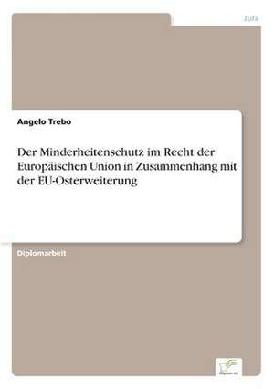 Der Minderheitenschutz Im Recht Der Europaischen Union in Zusammenhang Mit Der Eu-Osterweiterung: Eine Ideale Portfoliobeimischung? de Angelo Trebo