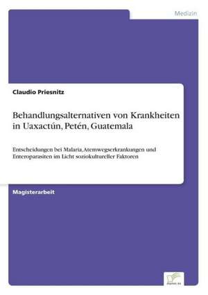 Behandlungsalternativen Von Krankheiten in Uaxactun, Peten, Guatemala: Goodwill and Other Intangible Assets de Claudio Priesnitz