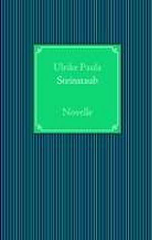 Steinstaub de Ulrike Paula