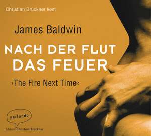 Nach der Flut das Feuer de James Baldwin