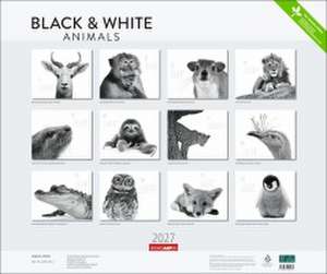 Black & White Animals 2027