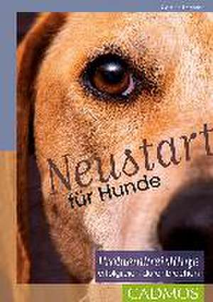 Neustart für Hunde de Katrien Lismont