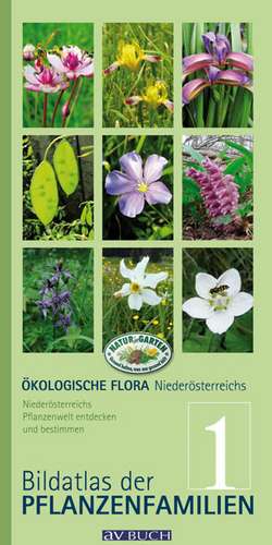 Ökologische Flora - Nieder- Österreichs Pflanzenwelt entdecken und bestimmen de Wolfgang Holzner