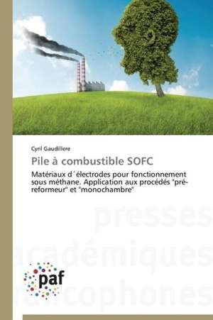 Pile à combustible SOFC de Cyril Gaudillere