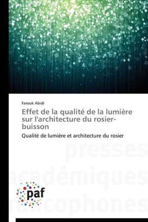 Effet de la qualité de la lumière sur l'architecture du rosier-buisson de Farouk Abidi