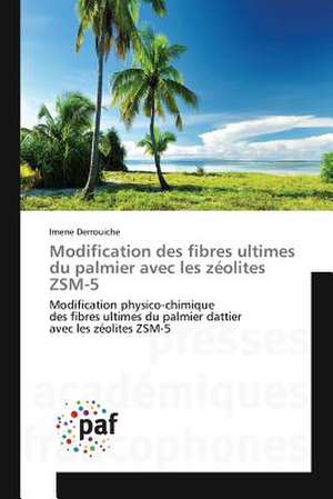 Modification des fibres ultimes du palmier avec les zéolites ZSM-5 de Imene Derrouiche