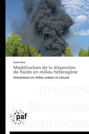 Modélisation de la dispersion de fluide en milieu hétérogène de Sarah Hank