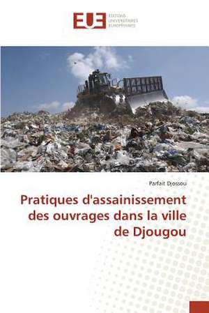 Pratiques D'Assainissement Des Ouvrages Dans La Ville de Djougou: Kanban de Parfait Djossou