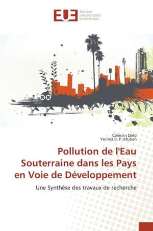 Pollution de L'Eau Souterraine Dans Les Pays En Voie de Developpement