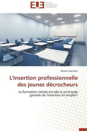 L'Insertion Professionnelle Des Jeunes Decrocheurs: Cas de L'Ichkeul de Benoit Gauthier