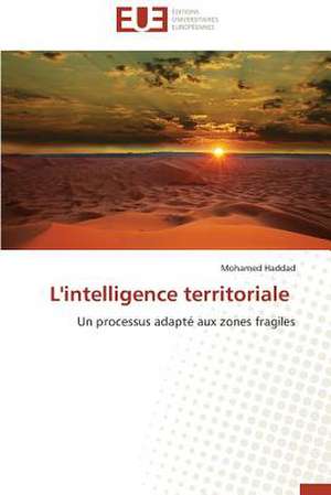 L'Intelligence Territoriale: Petrologie, Geochimie Isotopique Et Geochronologie de Mohamed Haddad