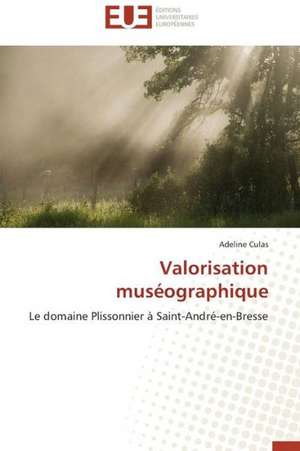 Valorisation Museographique: Les Risques Lies a la Discrimination Des Pvvih de Adeline Culas