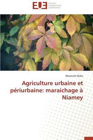 Agriculture Urbaine Et Periurbaine: Maraichage a Niamey de Hassoumi Djibo