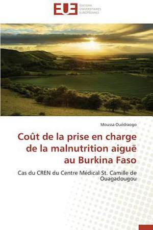 Cout de La Prise En Charge de La Malnutrition Aigue Au Burkina Faso: Apotre Et Pretresse Des Paiens de Moussa Ouédraogo