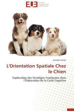 L'Orientation Spatiale Chez Le Chien: Methodologie D'Amelioration Du Controle Interne Des Foncieres de Jennifer Cattet