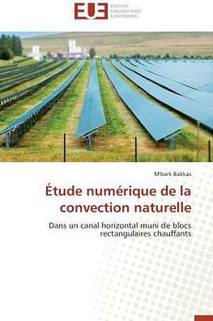 Etude Numerique de La Convection Naturelle: Une Recherche-Intervention de M'bark Bakkas