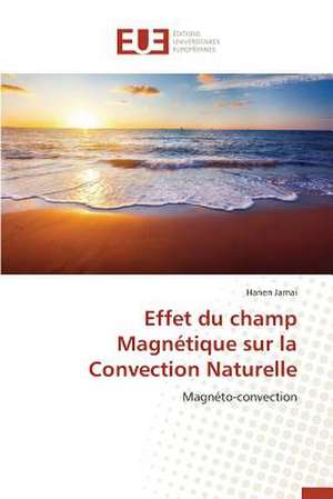 Effet Du Champ Magnetique Sur La Convection Naturelle: Cas de La Savonnerie Nosa de Hanen Jamai