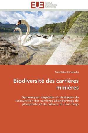 Biodiversite Des Carrieres Minieres: Analyse Du Roman Et Du Film de Minkilabe Djangbedja