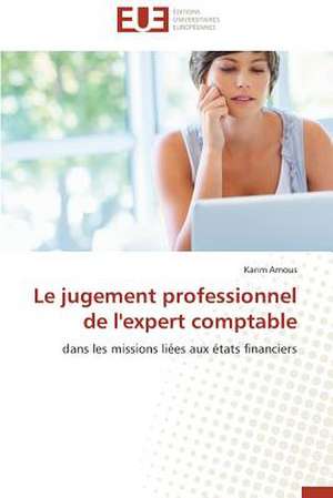 Le Jugement Professionnel de L'Expert Comptable