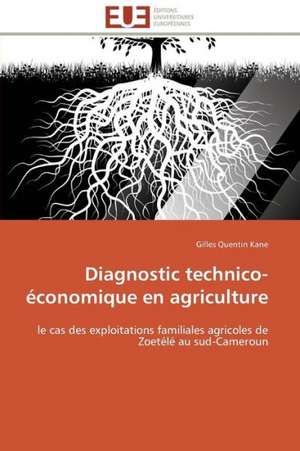 Diagnostic Technico-Economique En Agriculture: Un Tournant Decisif de Gilles Quentin Kane