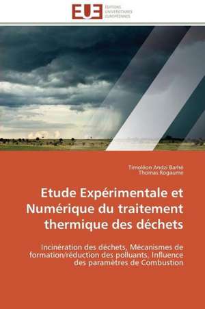 Etude Experimentale Et Numerique Du Traitement Thermique Des Dechets: Levier D'Un Management Moderne de Timoléon Andzi Barhé