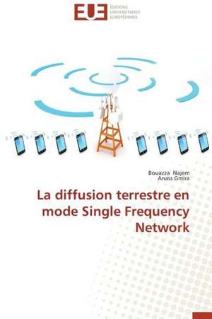 La Diffusion Terrestre En Mode Single Frequency Network: Un Regard Geometrique de Bouazza Najem