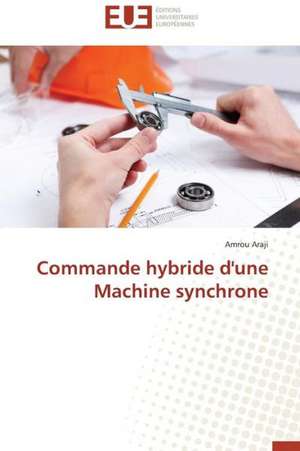 Commande Hybride D'Une Machine Synchrone: Apports D'Une Analyse Multidisciplinaire de Amrou Araji