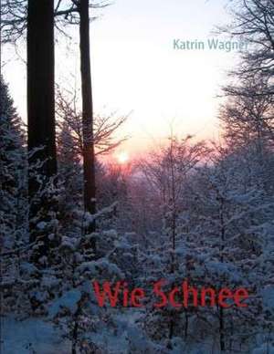 Wie Schnee de Katrin Wagner