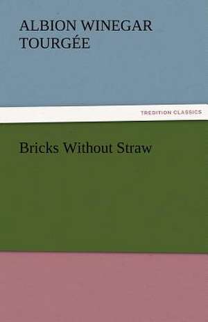 Bricks Without Straw de Albion Winegar Tourgée