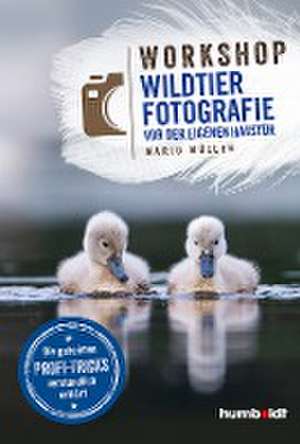 Workshop Wildtierfotografie vor der eigenen Haustür de Mario Müller