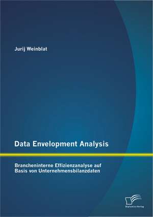 Data Envelopment Analysis - Brancheninterne Effizienzanalyse Auf Basis Von Unternehmensbilanzdaten: Nachhaltige Losungen in Der It Und Durch It-Unterstutzung de Jurij Weinblat