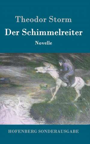 Der Schimmelreiter de Theodor Storm