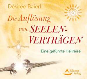 Die Auflösung von Seelenverträgen de Désirée Baierl