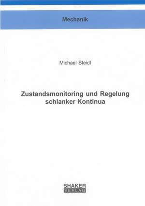 Zustandsmonitoring und Regelung schlanker Kontinua de Michael Steidl