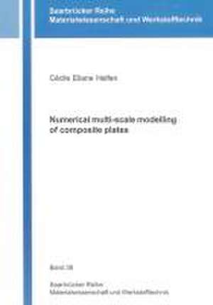 Numerical multi-scale modelling of composite plates de Cécile Eliane Helfen