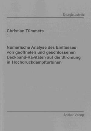 Numerische Analyse des Einflusses von geöffneten und geschlossenen Deckband-Kavitäten auf die Strömung in Hochdruckdampfturbinen de Christian Tümmers