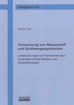 Verbrennung von Wasserstoff und Synthesegasgemischen de Stefan Voß