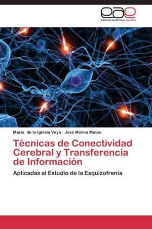 Técnicas de Conectividad Cerebral y Transferencia de Información de María de la Iglesia Vayá