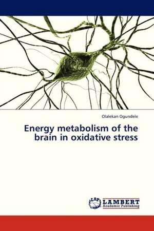 Energy metabolism of the brain in oxidative stress de Ogundele Olalekan