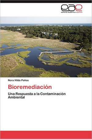 Bioremediación de Nora Hilda Paños
