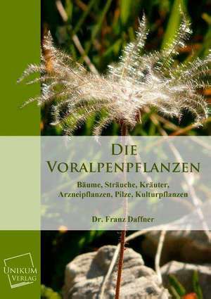 Daffner, F: Voralpenpflanzen