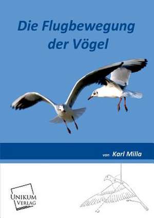 Milla, K: Flugbewegung der Vögel