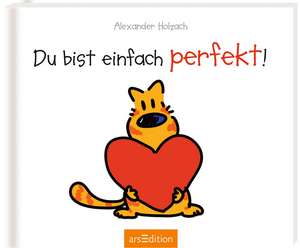 Du bist einfach perfekt! de Alexander Holzach