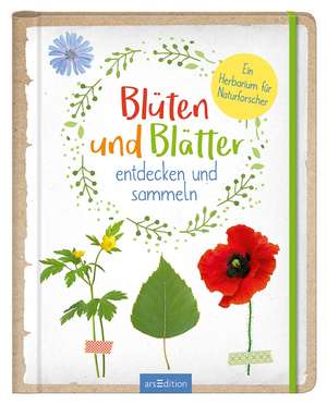 Blüten und Blätter entdecken und sammeln de Anna Linstadt