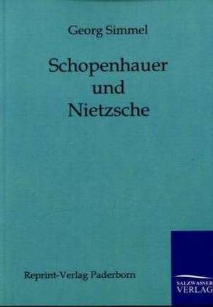 Schopenhauer und Nietzsche de Georg Simmel