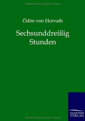 Sechsunddreißig Stunden de Ödön von Horvath