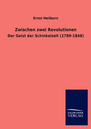 Zwischen zwei Revolutionen de Ernst Heilborn