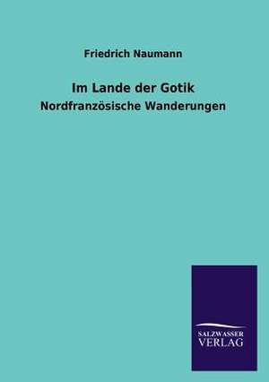 Im Lande Der Gotik: Die Hauptgestalten Der Hellenen-Sage an Der Hand Der Sprachvergleichung Zuruckgefuhrt Auf Ihre Historischen Prototype de Friedrich Naumann